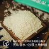 【有机】新疆沙漠乳香米300g 商品缩略图2
