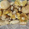 野生石渠白菌 50g/袋 | 合作农友生产，来自四川甘孜石渠县，生产者：李建程和石渠县藏族农牧民 &【公平贸易农人定价】 商品缩略图11