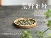 【白茶中的顶流】2024荒野米针真真是野性难驯，春白茶中的稀罕物，99%的茶友都未品尝过（50克装）！ 商品缩略图3