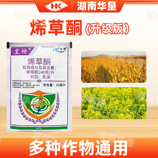 华星皇榜24%烯草酮正品烯草胴桐牛筋草专用除草剂大豆苗后除草剂 商品图2