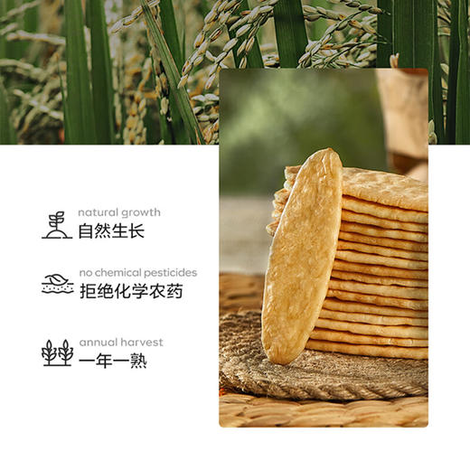 光合星球BP2009002小轻脆婴幼儿米饼（胡萝卜） 商品图2