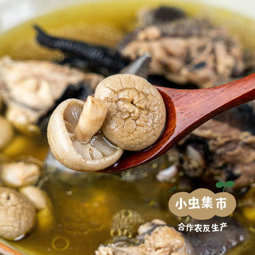 野生石渠白菌 50g/袋 | 合作农友生产，来自四川甘孜石渠县，生产者：李建程和石渠县藏族农牧民 &【公平贸易农人定价】 商品图5