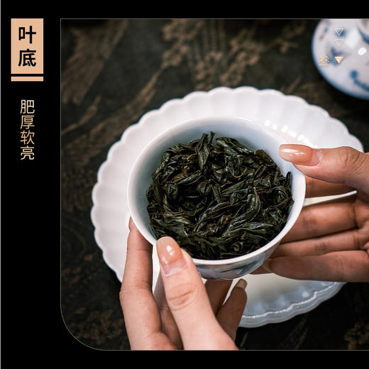 【山纯限品】（2023-24年）代表作（11）17g 商品图4