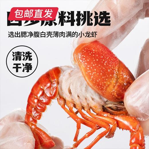 海底捞·即食小龙虾 1500g *2盒【包邮直发】 商品图3