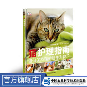 猫护理指南：如何保持猫的健康和快乐