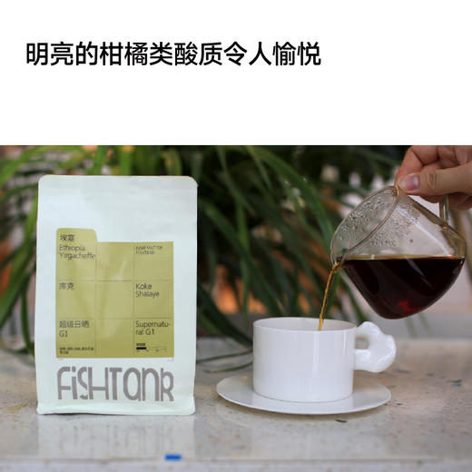 埃塞库克超级日晒G1 手冲咖啡豆 商品图3