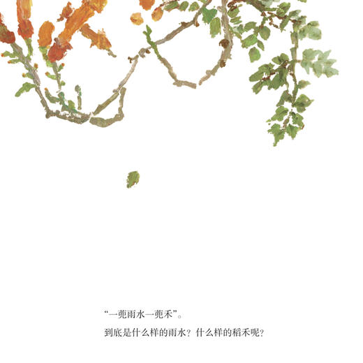 《一蔸雨水一蔸禾》 商品图7
