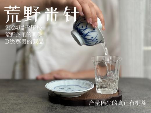 【白茶中的顶流】2024荒野米针真真是野性难驯，春白茶中的稀罕物，99%的茶友都未品尝过（50克装）！ 商品图6