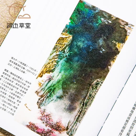 【绝版好书】《形象之外-张大千的生活与艺术》16开316页，2022年台一卷文化初版 商品图7
