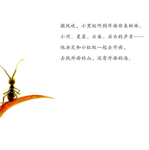 《外面的外面的外面》 商品图10