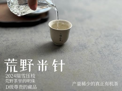【白茶中的顶流】2024荒野米针真真是野性难驯，春白茶中的稀罕物，99%的茶友都未品尝过（50克装）！ 商品图11