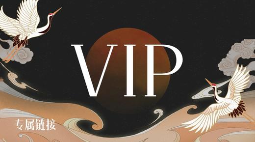 VIP专属临时链接1（切勿私拍，私拍不发货） 商品图0