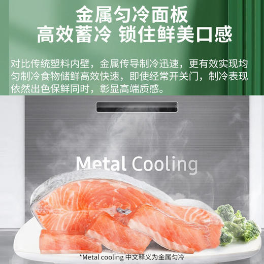 【618秒杀】三星（SAMSUNG）635升双开门冰箱 家用大容量对开门 嵌入式金属匀冷智能变频自动制冰机RS64R53E71L/SC白 商品图4