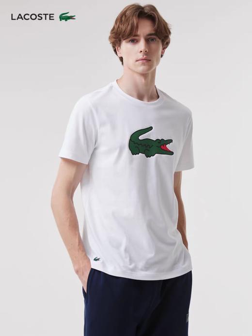 【5.7折】5楼LACOSTE法国鳄鱼圆领TTH7513-98 吊牌价690 折后价390 商品图3