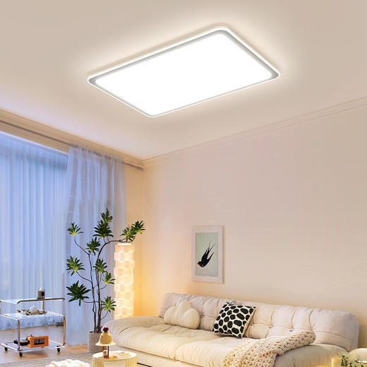 性价比爆款🔥欧普（OPPLE）宸风客厅简约现代吸顶灯套餐 商品图4