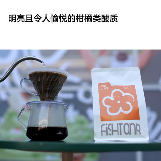 fishtank鱼缸咖啡｜琥珀白日梦 咖啡豆（可磨粉）200g 商品图2