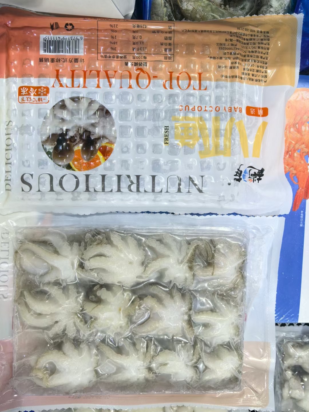 赵海10头小八爪鱼350克