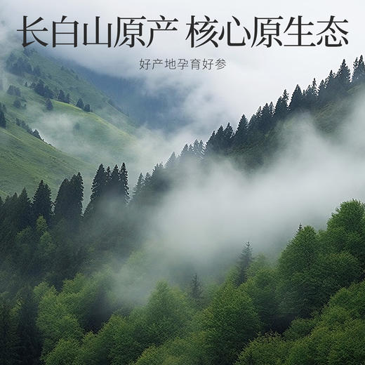 【冬季滋补】杞里香108g12罐礼盒1.0-1.2cm西洋参礼盒；120g12罐礼盒1.2-1.4cm西洋参-礼遇繁花礼盒红色、蓝色款 商品图13