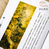 【绝版好书】《形象之外-张大千的生活与艺术》16开316页，2022年台一卷文化初版 商品缩略图6