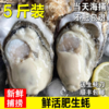 生蚝鲜活牡蛎新鲜特大海蛎子蒜蓉烧烤海鲜水产一箱装包邮 商品缩略图0