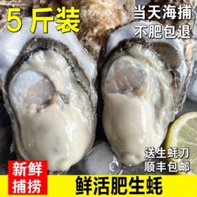 生蚝鲜活牡蛎新鲜特大海蛎子蒜蓉烧烤海鲜水产一箱装包邮