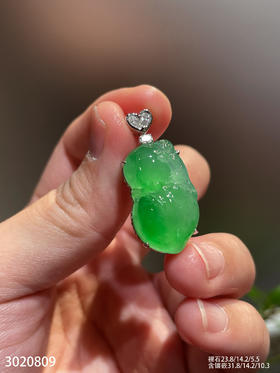 飘翠吊坠   92999【3020809】