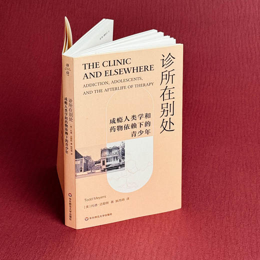 诊所在别处 成瘾人类学和药物依赖下的青少年 薄荷实验 托德·迈耶斯 商品图3