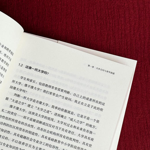 大学思维 批判与创造 第二版 钱旭红 新增订 商品图8