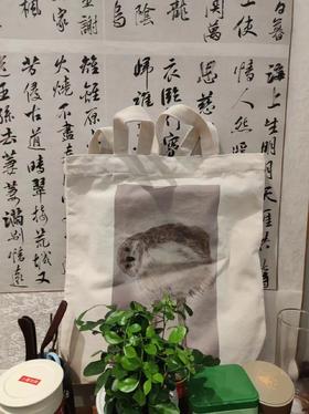 雅书琴颂学员文创产品——帆布袋