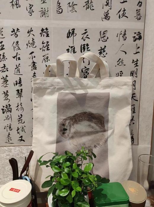 雅书琴颂学员文创产品——帆布袋 商品图0