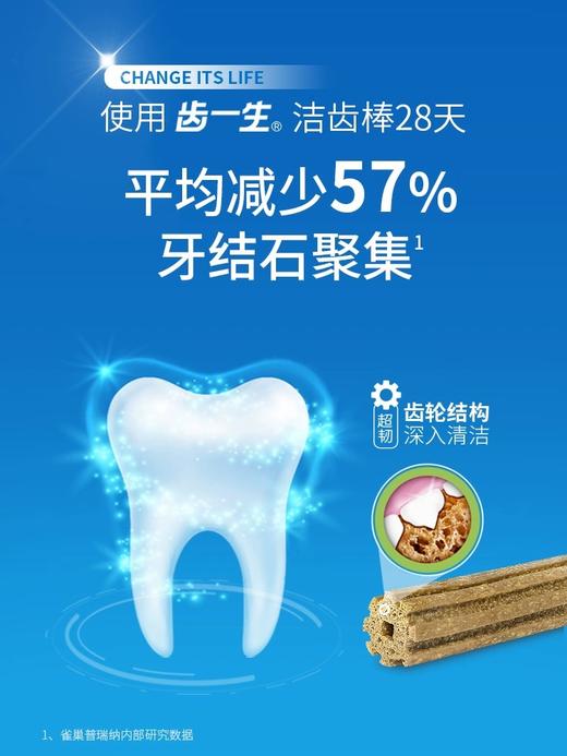 冠能-齿一生中小型犬洁齿棒 商品图4