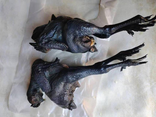 农场溜达鸡，现杀，天热了冰鲜，肉质紧实，香！ 商品图2