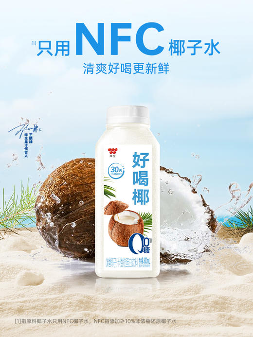 味全好喝椰汁300l 商品图0