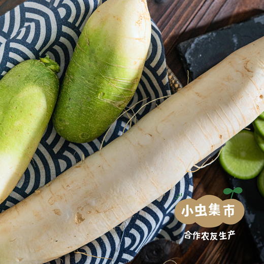 沃野生态萝卜（红萝卜/白萝卜/胡萝卜/青萝卜） | 合作农友生产，来自陕西咸阳，生产者：郑力行 *【公平贸易农人定价】 商品图5