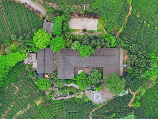 【雅安-118号院】3房/4房/5房川西小院，坐落在万亩茶园山上的温泉院子，KTV、全屋地暖，面朝山谷，背靠茶海。YMES 商品图3