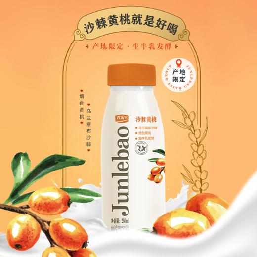 君乐宝沙棘+黄桃280ml 商品图0