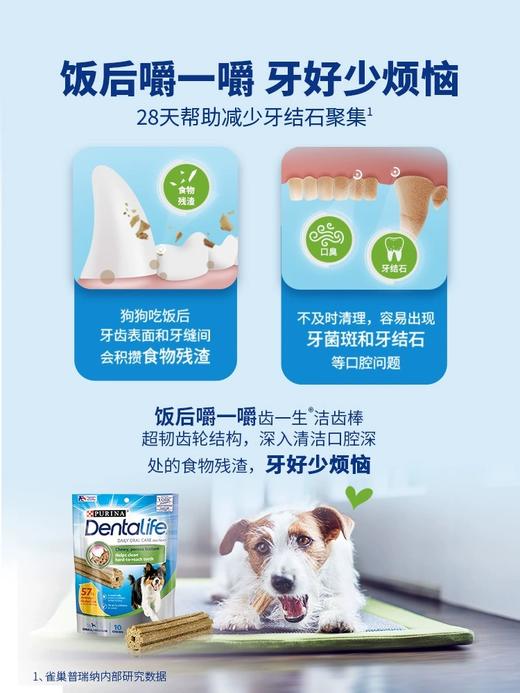 冠能-齿一生中小型犬洁齿棒 商品图2