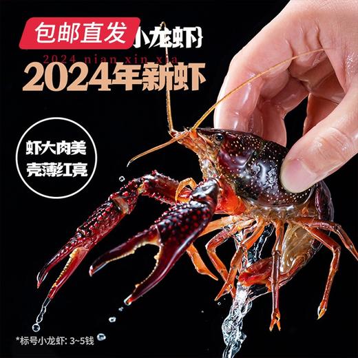 海底捞·即食小龙虾 1500g *2盒【包邮直发】 商品图4