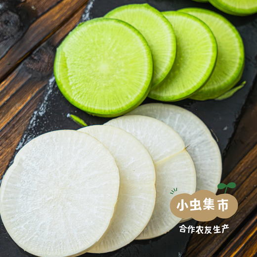 沃野生态萝卜（红萝卜/白萝卜/胡萝卜/青萝卜） | 合作农友生产，来自陕西咸阳，生产者：郑力行 *【公平贸易农人定价】 商品图3