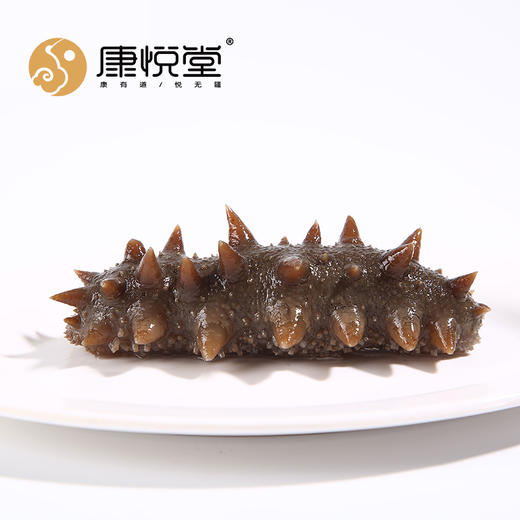 【康悦堂·大连即食辽刺参】九灵豪参 口感劲道  弹牙 肉厚 九龄野生参 商品图5