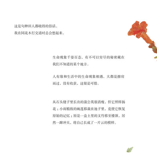 《一蔸雨水一蔸禾》 商品图8