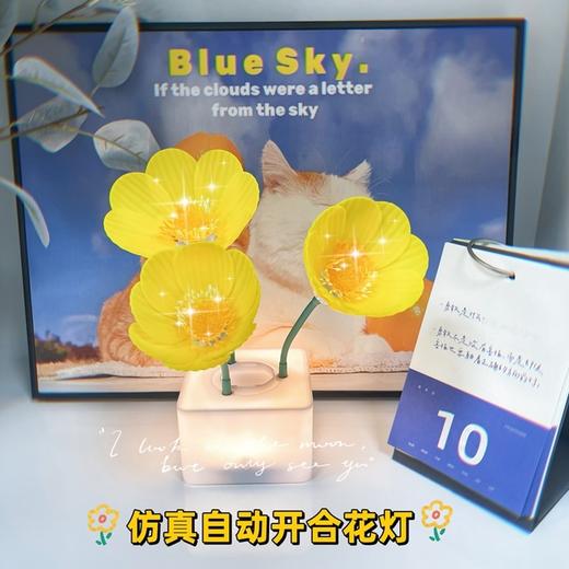 【能开花的灯】虞美人自动开花会呼吸的充电小夜灯女生礼物创意装饰仿真花卧室床头氛围台灯 商品图1