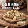 野生石渠白菌 50g/袋 | 合作农友生产，来自四川甘孜石渠县，生产者：李建程和石渠县藏族农牧民 &【公平贸易农人定价】 商品缩略图0