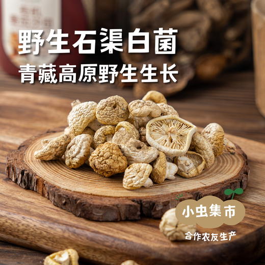 野生石渠白菌 50g/袋 | 合作农友生产，来自四川甘孜石渠县，生产者：李建程和石渠县藏族农牧民 &【公平贸易农人定价】 商品图0