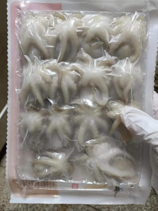 赵海10头小八爪鱼350克 商品图1