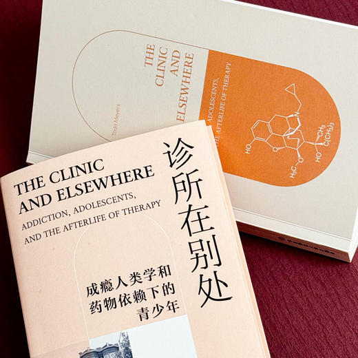 诊所在别处 成瘾人类学和药物依赖下的青少年 薄荷实验 托德·迈耶斯 商品图10