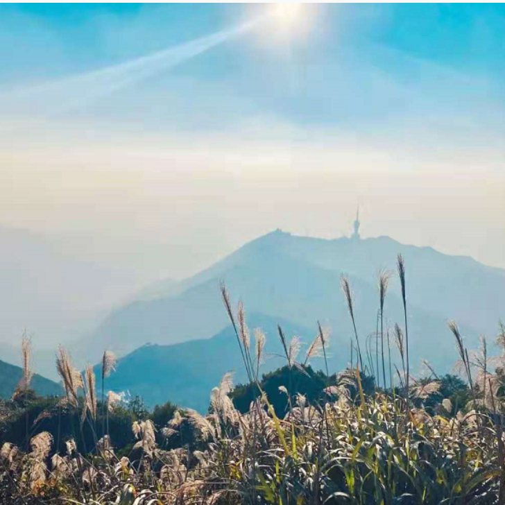 周日12.22登深圳梧桐山，自然风光无限好（深圳）