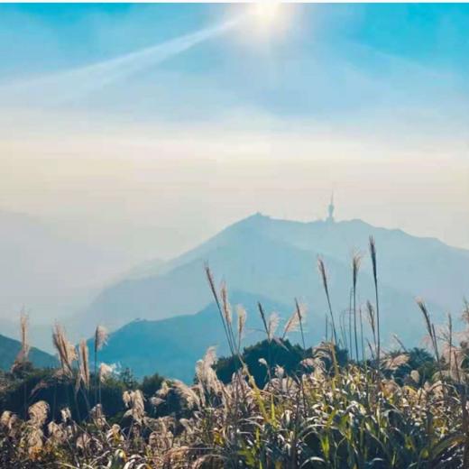 周日12.22登深圳梧桐山，自然风光无限好（深圳） 商品图0