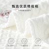 刺绣短筒小白袜无骨精梳棉袜船袜【2412203/5/6】 商品缩略图3