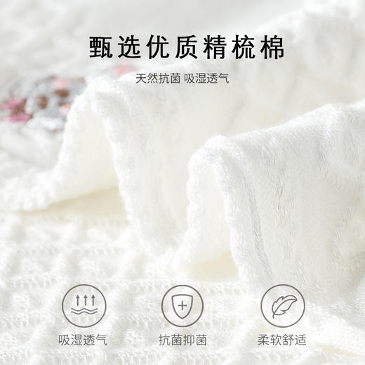 刺绣短筒小白袜无骨精梳棉袜船袜【2412203/5/6】 商品图3